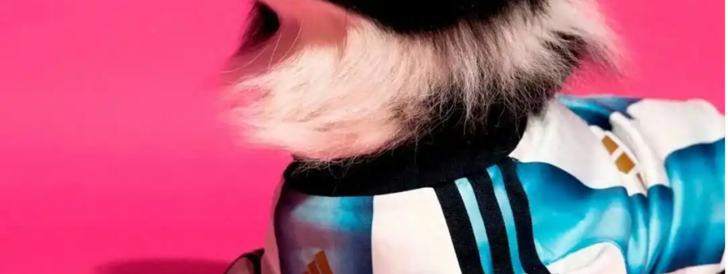 Adidas uvádí na trh dres pro psy z mistrovství světa
