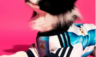 Adidas uvádí na trh dres pro psy z mistrovství světa