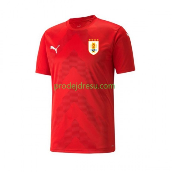 Uruguay Dresy Fotbal Brankářské Muž Domácí World Cup 2022 Krátký rukáv