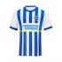 Brighton & Hove Albion Dresy Fotbal Muž Domácí 2024-2025 Krátký rukáv