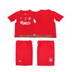 Liverpool Dresy Fotbal LWP 2005 Retro Muž Domácí 2004 Krátký rukáv