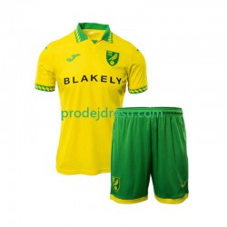 Norwich City Dresy Fotbal Dětský Domácí 2025-2026 Krátký rukáv