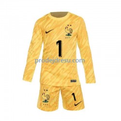 Francie Dresy Fotbal Hugo Lloris 1 Brankářské Dětský Domácí Euro 2024 Dlouhý rukáv