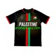 Club Deportivo Palestino Dresy Fotbal Center Stripre Muž Domácí 2024-2025 Krátký rukáv