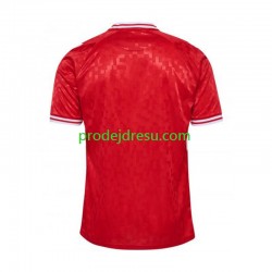 Dánsko Dresy Fotbal Muž Domácí Euro 2024 Krátký rukáv