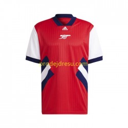 Arsenal Dresy Fotbal Icon Retro Muž Domácí 2022-2023 Krátký rukáv