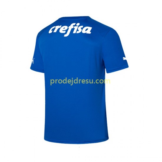 Palmeiras Dresy Fotbal Brankářské Muž Domácí 2023-2024 Krátký rukáv