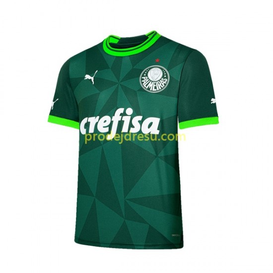 Palmeiras Dresy Fotbal Muž Domácí 2023-2024 Krátký rukáv