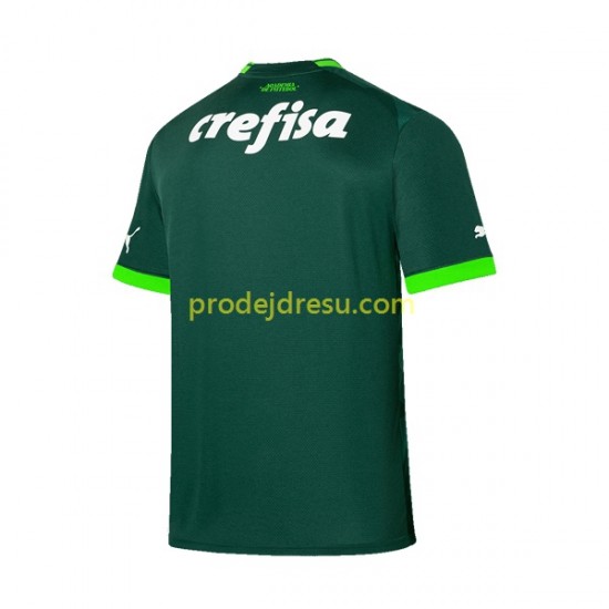 Palmeiras Dresy Fotbal Muž Domácí 2023-2024 Krátký rukáv