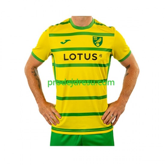 Norwich City Dresy Fotbal Muž Domácí 2023-2024 Krátký rukáv
