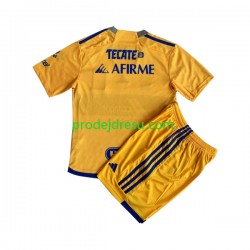 Tigres UANL Dresy Fotbal Dětský Domácí 2023-2024 Krátký rukáv