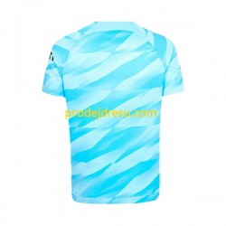 Tottenham Hotspur Dresy Fotbal Brankářské Muž Domácí 2023-2024 Krátký rukáv