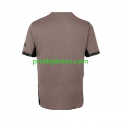 Tottenham Hotspur Dresy Fotbal Muž Alternativní 2023-2024 Krátký rukáv