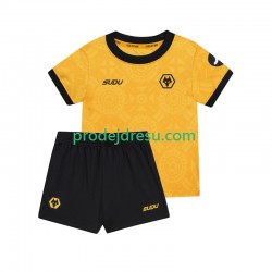Wolverhampton Wanderers Dresy Fotbal Dětský Domácí 2025-2026 Krátký rukáv