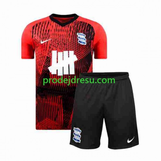 Birmingham City Dresy Fotbal Dětský Venkovní 2023-2024 Krátký rukáv