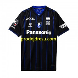 Dresy Fotbal Gamba Osaka Muž Domácí 2024 Krátký rukáv