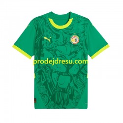 Senegal Dresy Fotbal Muž Venkovní 2025 Krátký rukáv