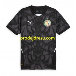 Senegal Dresy Fotbal Brankářské Muž Venkovní 2025 Krátký rukáv