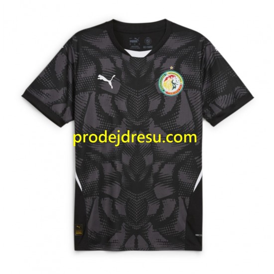 Senegal Dresy Fotbal Brankářské Muž Venkovní 2025 Krátký rukáv