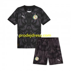 Senegal Dresy Fotbal Brankářské Dětský Venkovní 2025 Krátký rukáv