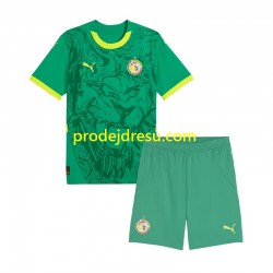 Senegal Dresy Fotbal Dětský Venkovní 2025 Krátký rukáv