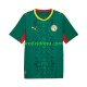 Senegal Dresy Fotbal Muž Venkovní 2026 2027 Krátký rukáv
