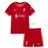 Liverpool Dresy Fotbal Dětský Domácí 2021-2022 Krátký Rukáv