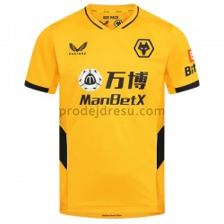 Wolverhampton Wanderers Dresy Fotbal Domácí 2021-2022 Krátký Rukáv