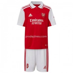 Arsenal Dresy Fotbal Dětský Domácí 2022-2023 Krátký Rukáv