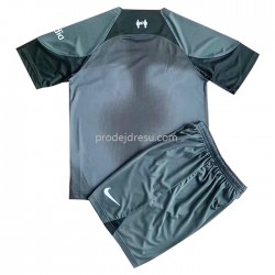 Liverpool Dresy Fotbal Dětský Venkovní 2022-2023 Krátký Rukáv