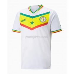 Senegal Dresy Fotbal Domácí World Cup 2022 Krátký Rukáv
