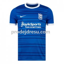 Birmingham City Dresy Fotbal Muž Domácí 2022-2023 Krátký rukáv