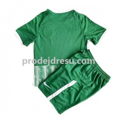 Maccabi Haifa Dresy Fotbal Dětský Domácí 2022 Krátký rukáv