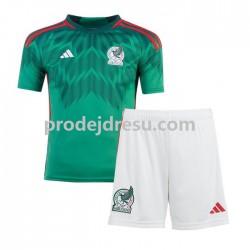 Mexiko Dresy Fotbal Dětský Domácí World Cup 2022 Krátký rukáv