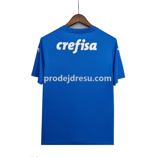 Palmeiras Dresy Fotbal Brankářské Muž Venkovní 2022-2023 Krátký rukáv