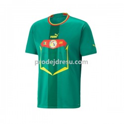 Senegal Dresy Fotbal Muž Venkovní World Cup 2022 Krátký rukáv