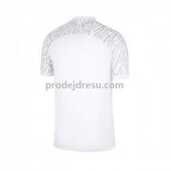 Polsko Dresy Fotbal Muž Domácí World Cup 2022 Krátký rukáv