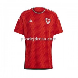 Wales Dresy Fotbal Muž Domácí World Cup 2022 Krátký rukáv
