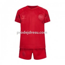 Dánsko Dresy Fotbal Dětský Domácí World Cup 2022 Krátký rukáv