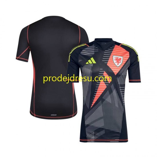 Wales Dresy Fotbal Brankářské Muž Domácí 2024 Krátký rukáv
