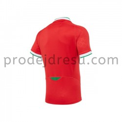 Velšská ragbyová reprezentace Dresy Domácí 2020-2021 Krátký Rukáv